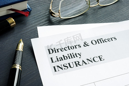 董事和高级职员责任 D&O 保险申请表。