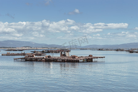 贻贝水产养殖筏，batea，在 Arousa 河口，加利西亚，Spa
