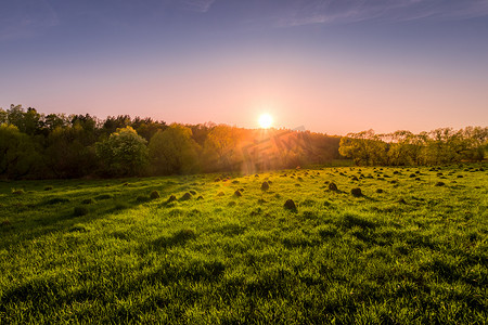 绿草如茵的春天田野中的日落或黎明。