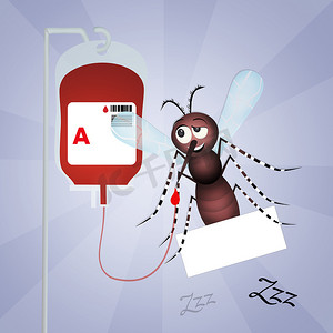 蚊子献血