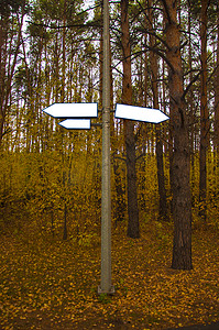 秋天公园里空荡荡的标志。
