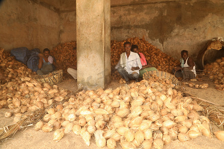 印度椰子工厂工人