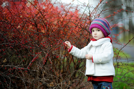 秋季公园里可爱的蹒跚学步的小孩