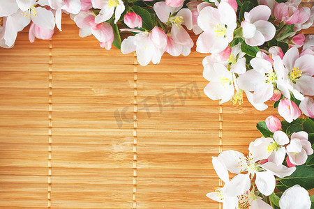 竹背景竹摄影照片_竹背景上的樱花春天花朵框架。
