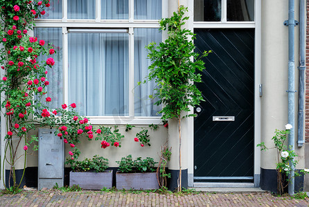 荷兰一栋老房子的门窗