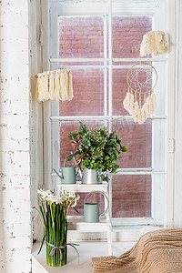绿色极简风格摄影照片_客厅时尚现代的波西米亚风格内饰，配有花瓶、米色花边和优雅的水仙、水仙花花束。