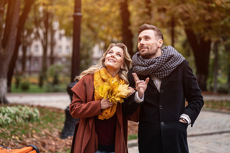 二月二龙抬头横图摄影照片_一对约会的情侣手牵着手在秋天的公园里抬头望去。