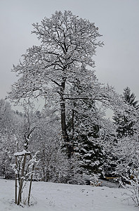 班基亚冬季公园雪树和儿童角落的壮丽景色