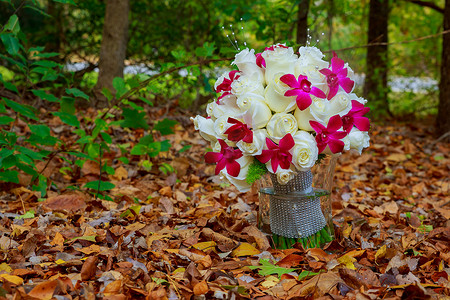 婚礼新娘捧花，白色兰花，玫瑰