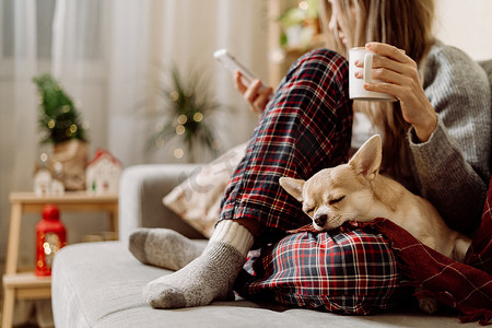 圣诞假期期间，穿着针织冬季保暖袜子和毛衣、睡着的狗和格子格子花呢的舒适女人，手里拿着一杯热可可或咖啡，在家里的沙发上休息。