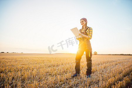 乡下摄影照片_农妇在田里拿着剪贴板，收获正在进行