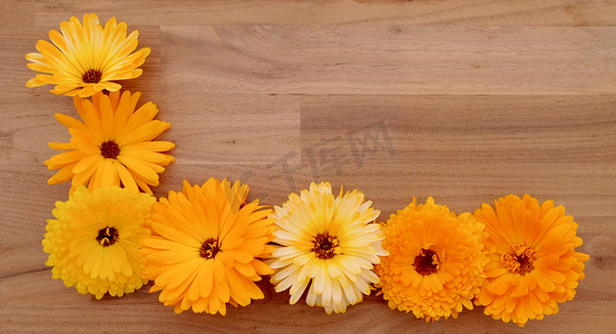 木头上黄色和橙色金盏花的半边框
