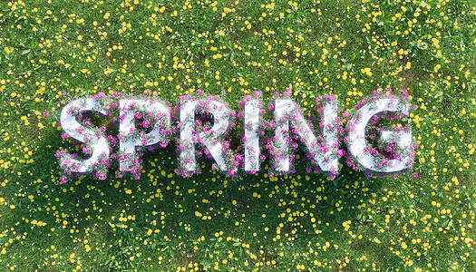 春天的标志与鲜花在开满鲜花的田野上