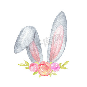 水彩灰色兔耳与白色背景上孤立的花朵。