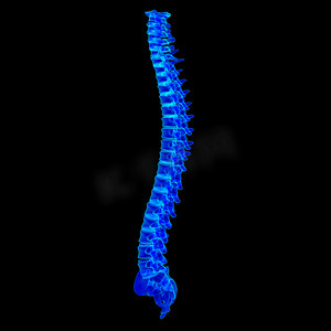 脊椎摄影照片_3d 渲染蓝色脊柱
