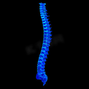 3d 渲染蓝色脊柱