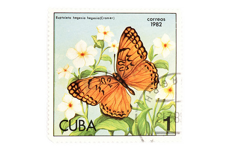 蝴蝶邮票摄影照片_在白色的邮票蝴蝶