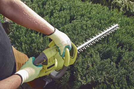 戴着黄色手套、面目全非的园丁的手正在阳光明媚的后院用电动绿篱机修剪杂草丛生的绿色灌木。