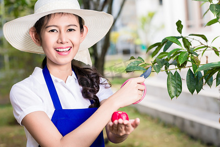 亚洲年轻女性修剪栽培水果的侧视肖像