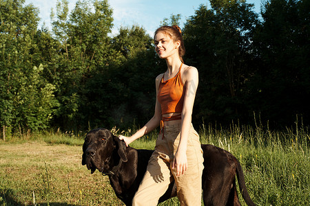 夏天在田野里与狗玩耍的女人友谊