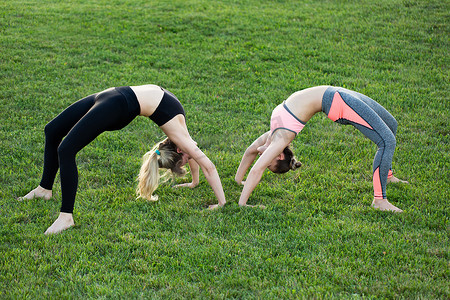 女朋友们在公园的草地上练习瑜伽。