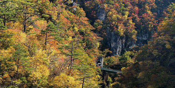 日本宫城东北鸣子峡谷及铁路隧道