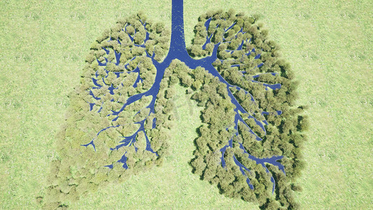 森林肺环境自然地球拯救地球绿色星球3d渲染