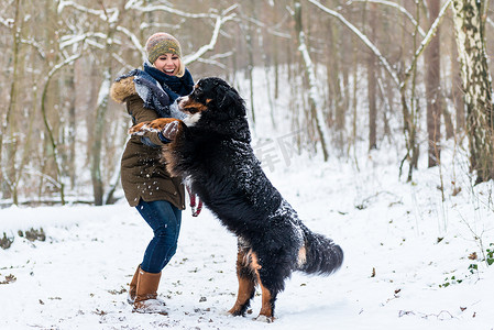 在下雪的冬日，狗拥抱他的妈妈