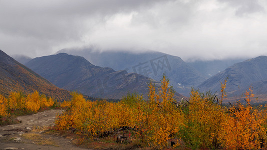 多云天气背景山峰的秋季多彩苔原。