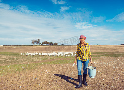 农民和她的鹅在家禽养殖场