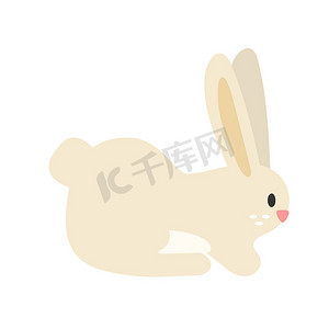 矢量兔子摄影照片_在白色背景上孤立的可爱兔子。