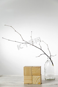 椴树摄影照片_玻璃花瓶里有一根未吹的椴树树枝，还有四个带有文字空间的木立方体。
