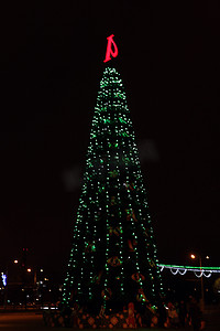 圣诞树夜晚摄影照片_夜晚城市景观前，灯火通明的圣诞树。