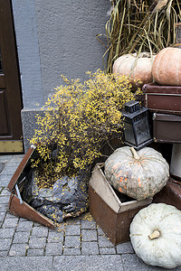 万圣节装饰品：旧手提箱、粗麻布、灌木、南瓜、稻草、灯笼位于房子的入口处