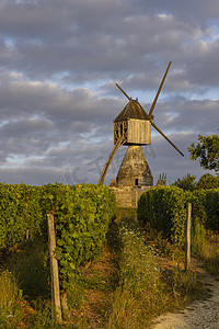 尤瓦尔赫拉利摄影照片_法国卢瓦尔河地区蒙索罗附近的拉特兰奇风车和葡萄园