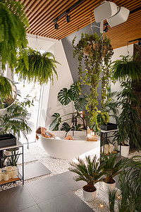 在豪华水疗度假村装饰着热带植物的现代浴室里，轻松的年轻女性享受泡泡浴