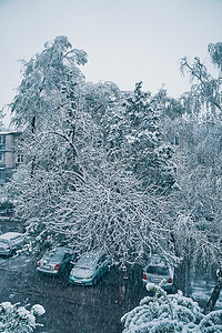 从窗户看到的雪街。