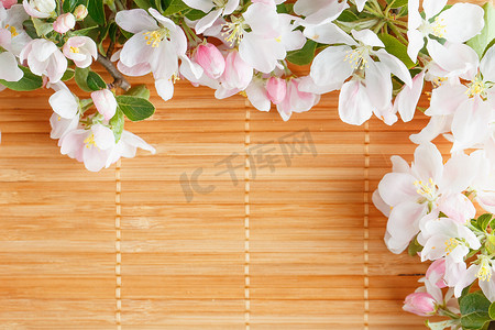 竹背景上的樱花春天花朵框架。