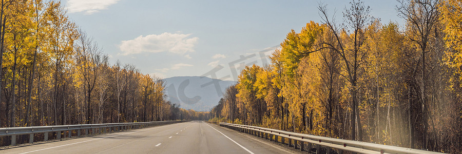 横幅，长格式 令人惊叹的景色，色彩缤纷的秋季森林和沥青山路。