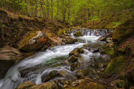 森林与水摄影照片_河中流水与森林中岩石的美丽长曝光景观