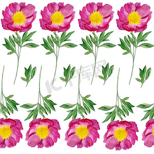生日图案元素摄影照片_水彩手绘无缝图案插图深粉色红牡丹与大叶叶茎。