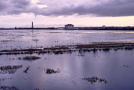 用云播种的水淹稻田。Albufera Valencia