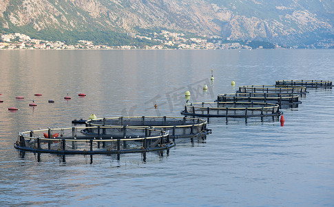 黑山亚得里亚海的圆形养鱼场
