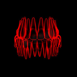 3d 人类红牙