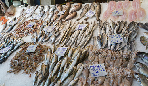 莫迪亚诺市场塞萨洛尼基鱼