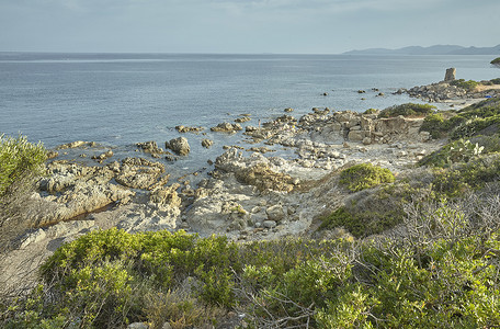 撒丁岛南部的岩石和植被。