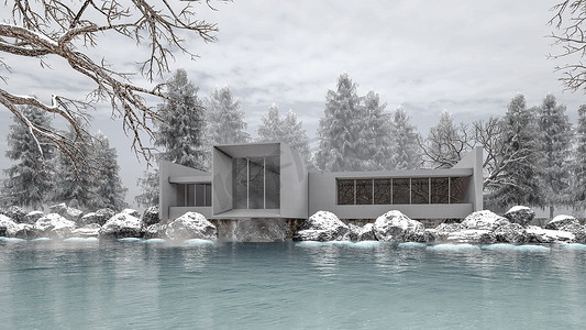 现代住宅的 3D 渲染图，具有海滨景观