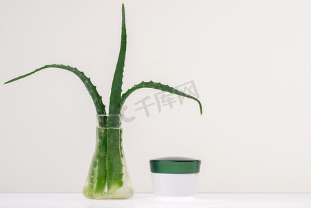 玻璃花瓶中的绿色猩红色叶子，白色背景上有水和奶油护理