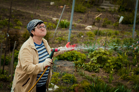 洒水的人摄影照片_园艺和人的概念 — 快乐的老年妇女在夏天用花园软管浇灌草坪