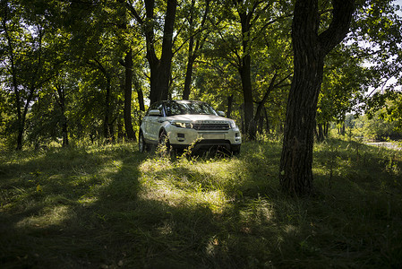 汽车路虎揽胜在夏季 俄罗斯萨马拉地区夏季景观的阳光明媚的天气。 